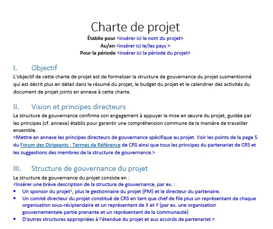 Preview of project charter template